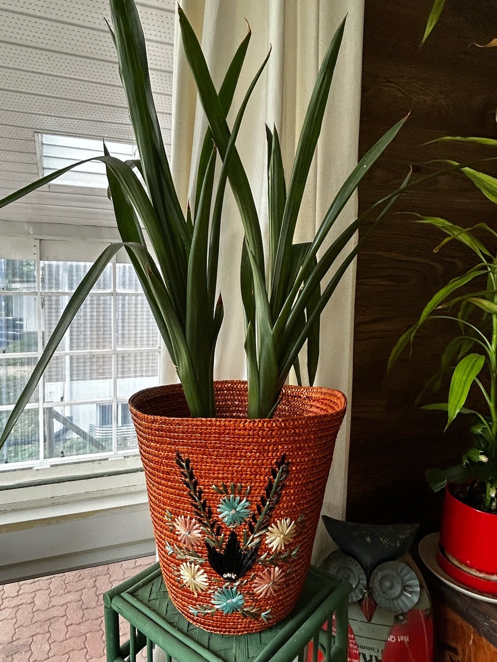 Superbe cache-pot de vintage. Orange fleurs